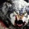 Wolf Sense