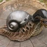 Snail