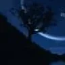 Rockynight