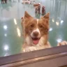 DoozyTheFloozy