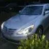 Duck2010