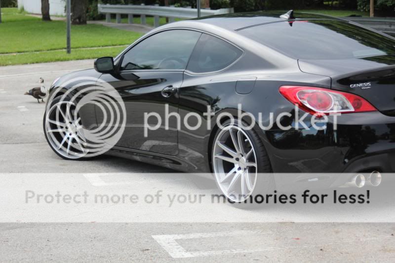 IMG_4823_zps1ba4632b.jpg