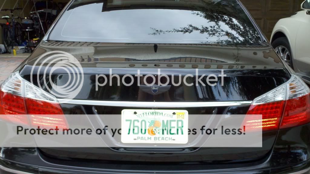 back.jpg