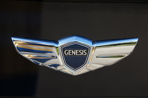 P5.JPG