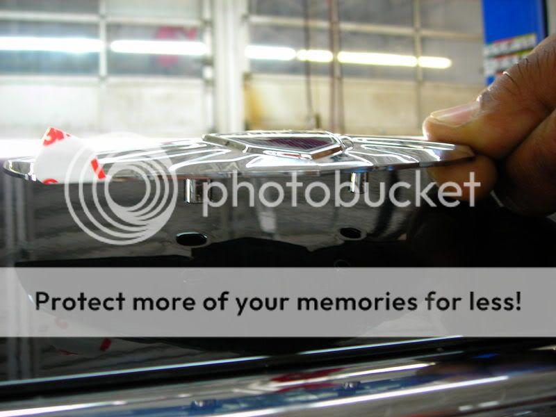 WebsitePictures003.jpg