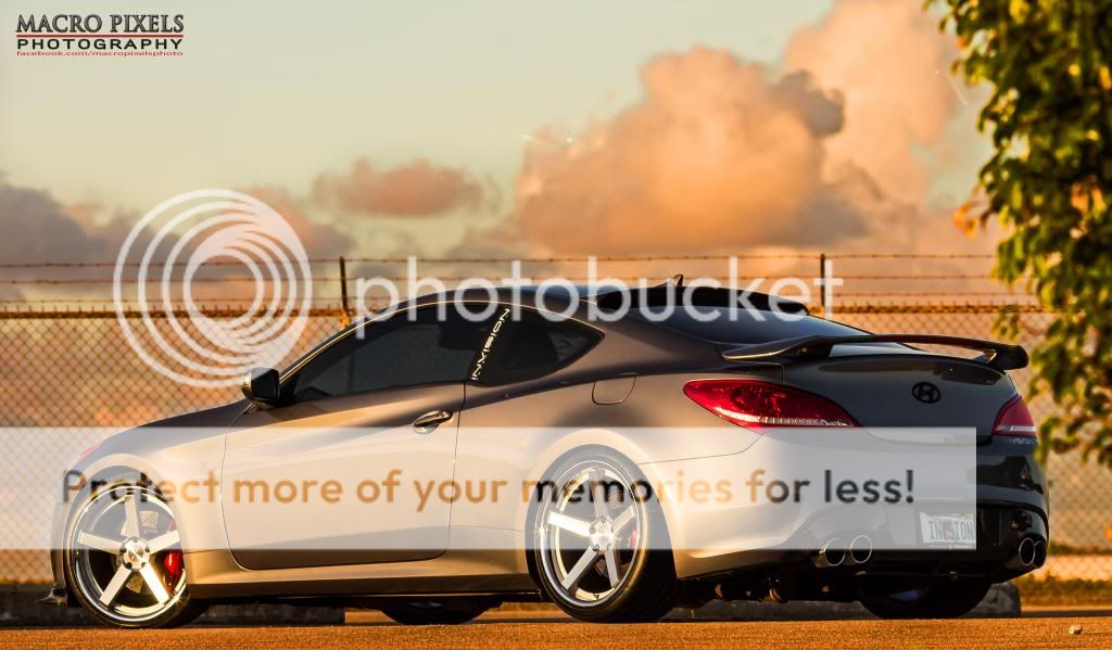 IMG_9982a_zps4114fc16.jpg