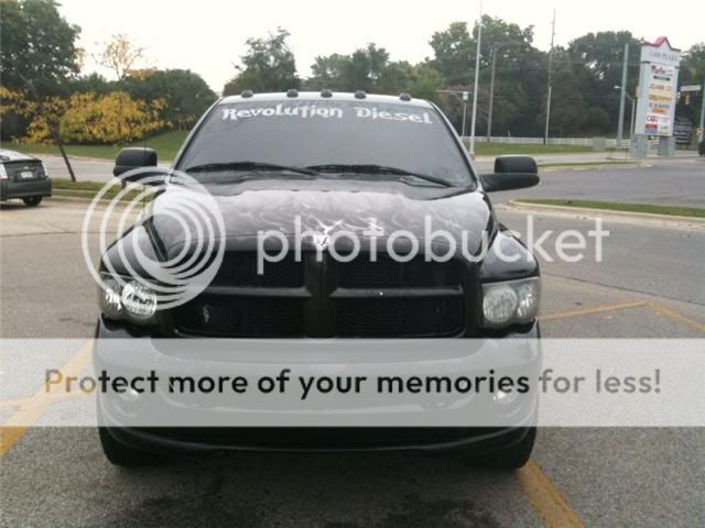 tint-1.jpg
