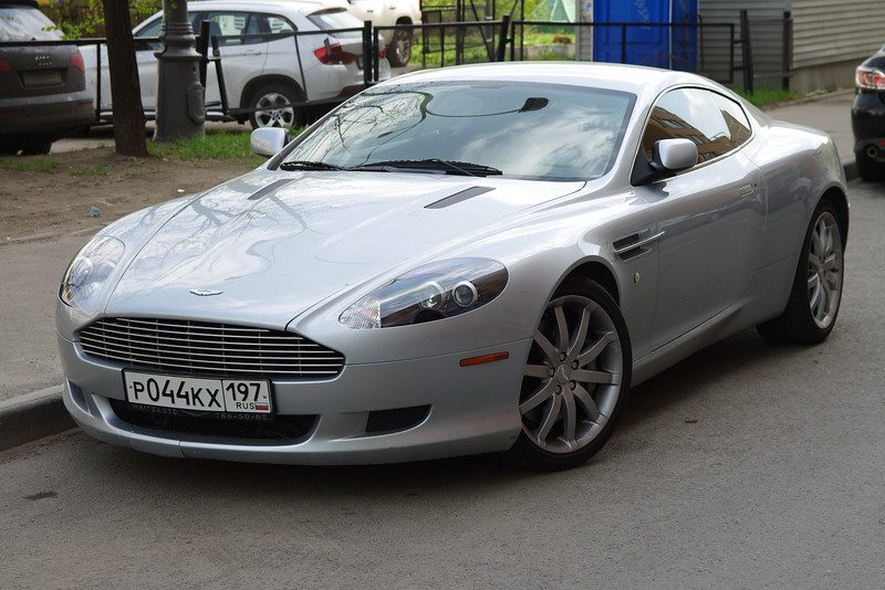 IMG_1512-L.jpg