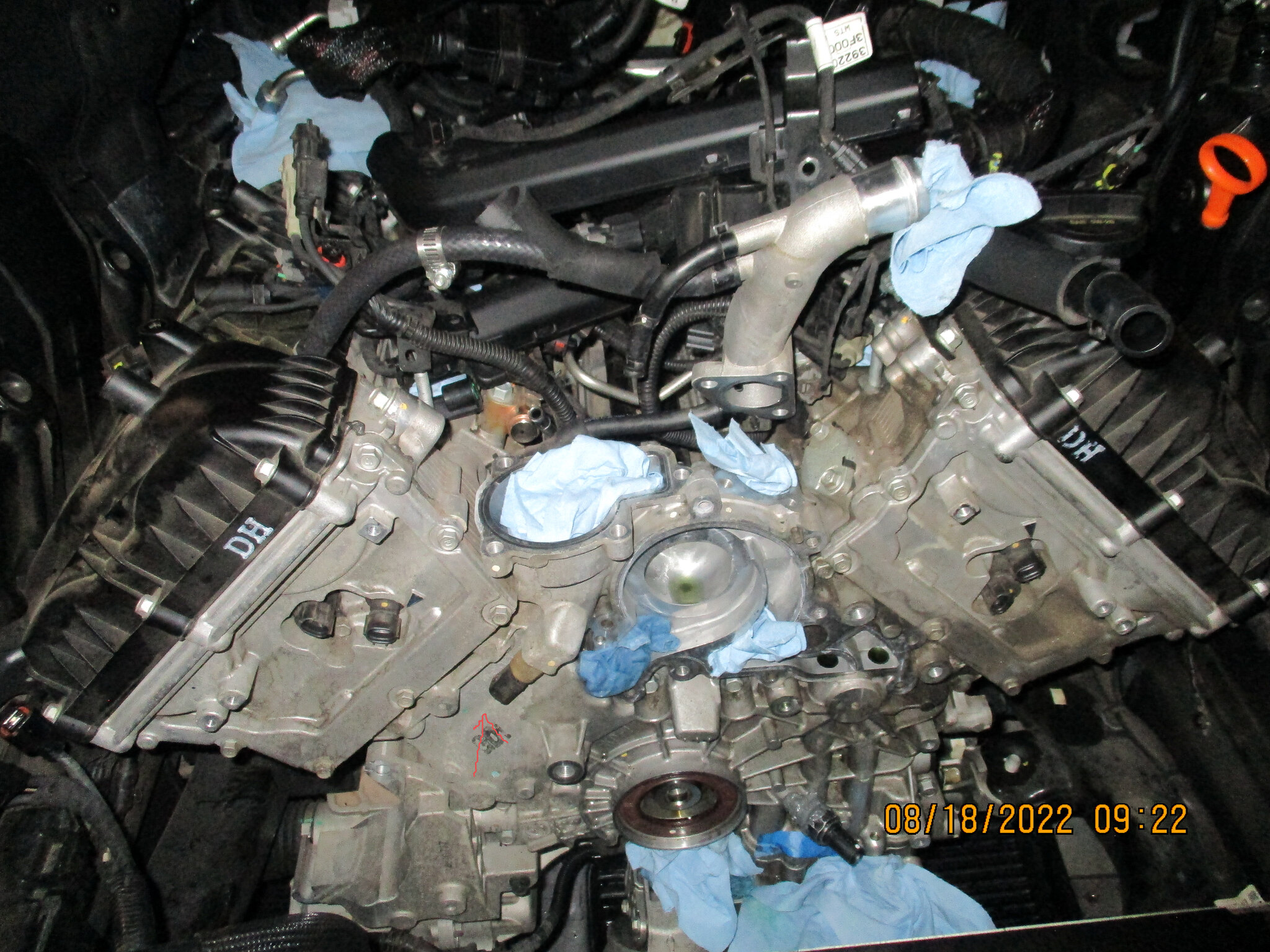 Engine bay. Questions  Hyundai Genesis Forum