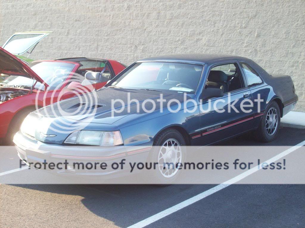 tc.jpg
