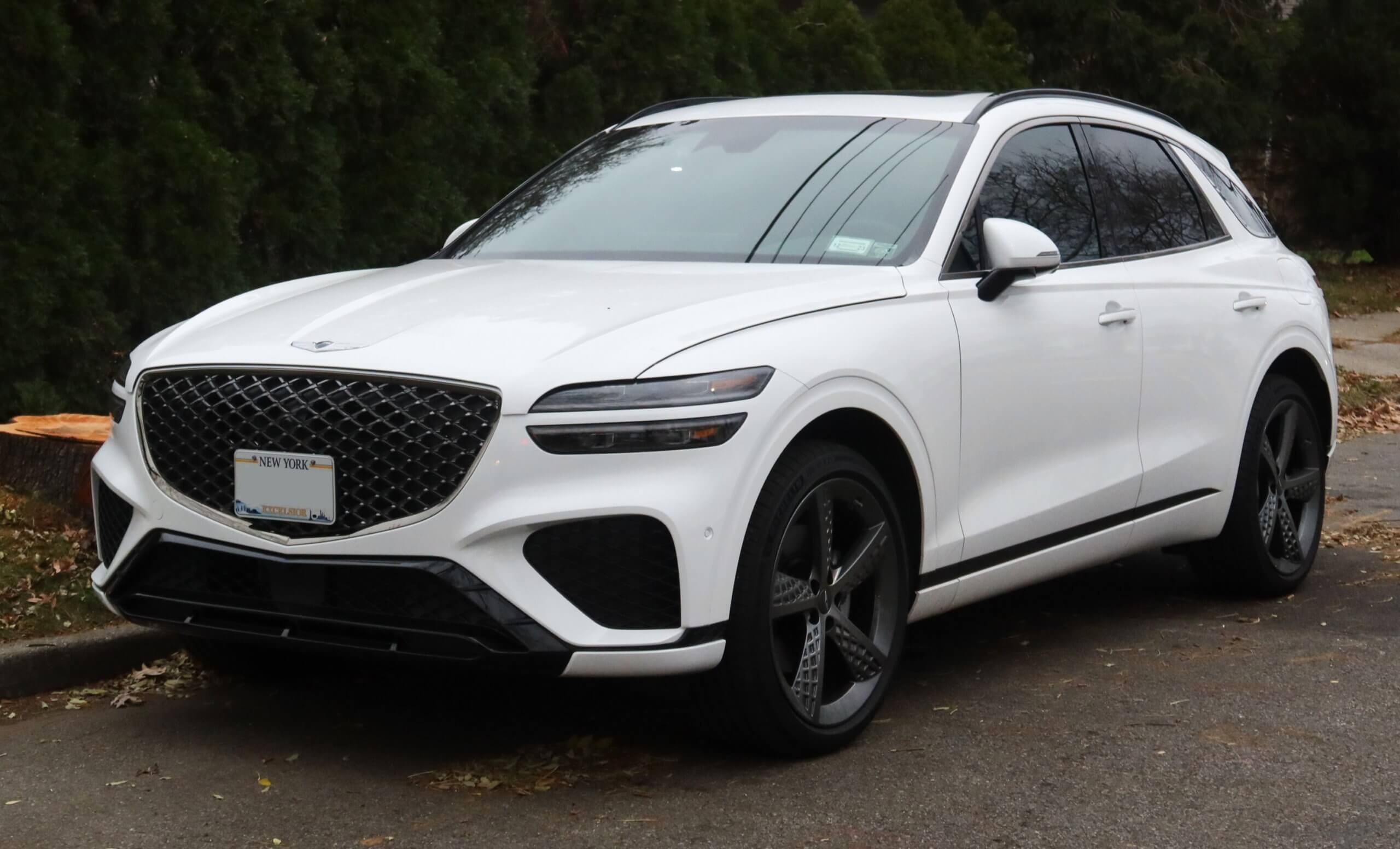 thedriveradviser.com