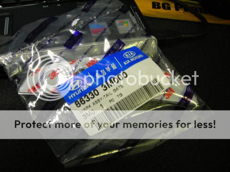 WebsitePictures008.jpg