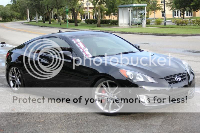 IMG_4774_zps2c3ed06a.jpg