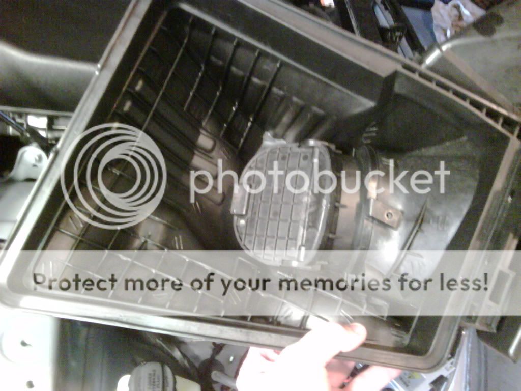 IMG00131-20091125-1431.jpg