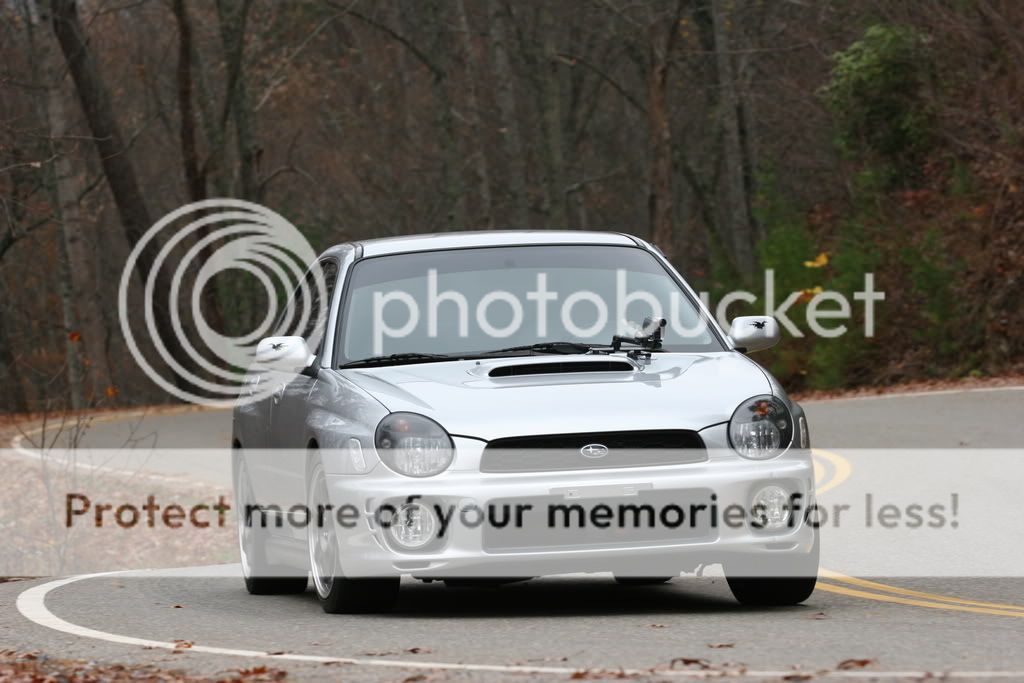 IMG_7903.jpg